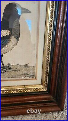Antique Eastlake Victorian Deep Picture Frame Gold Gilt Bird Print Engraving