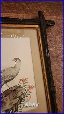 Pair Antique Picture Frames Adirondack Eastlake With Vintage Bird Prints